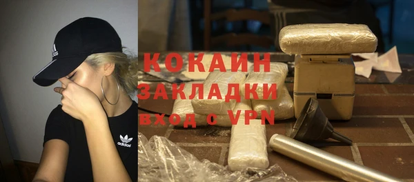 гидра Михайловка
