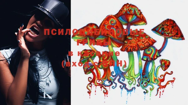 трава Алзамай