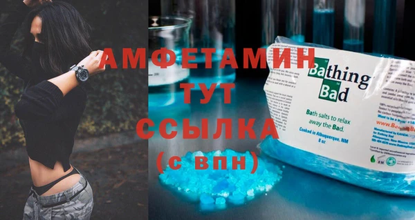 гидра Михайловка