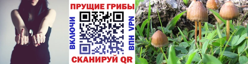 Галлюциногенные грибы мицелий  Уяр 